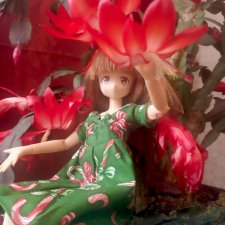 Миюки и декабрист