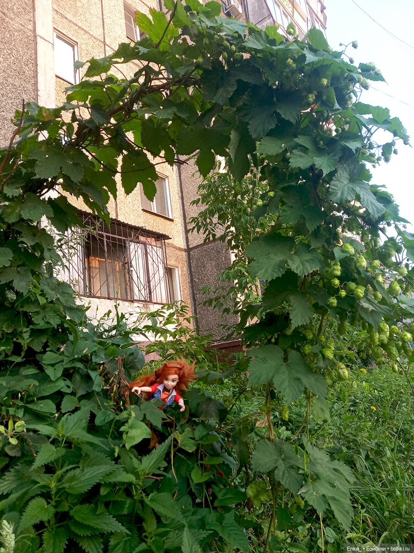 Белка и пушистые метелки — Куклы Barbie (Барби): Looks (фото 7)