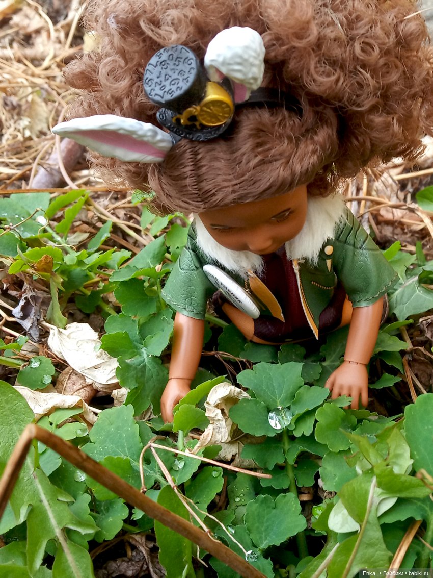 Керри - зайчик-скаут — Куклы Kathe Kruse (Кате/Кэте Крузе): фото (фото 9)