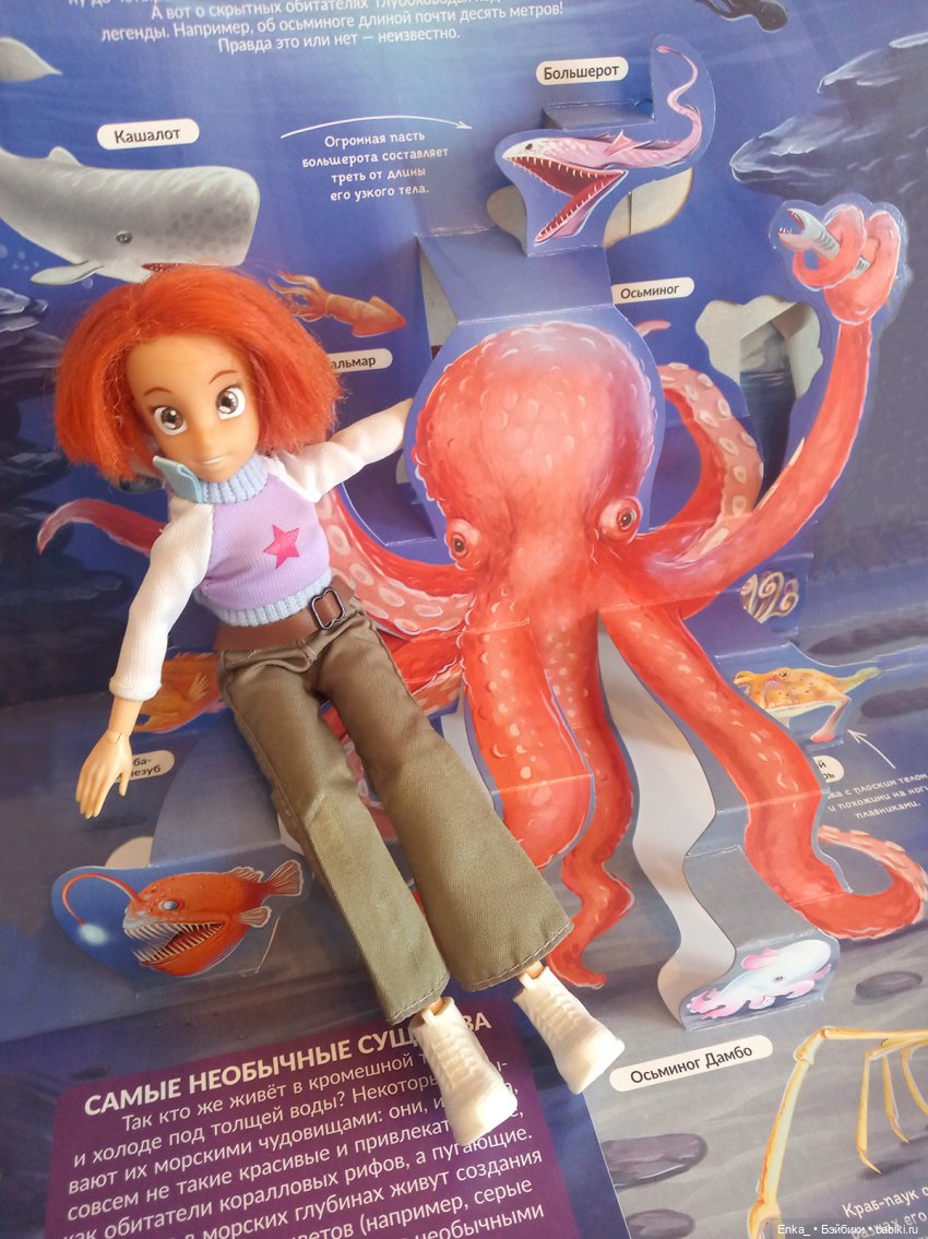 Приключения Робин в морском мире