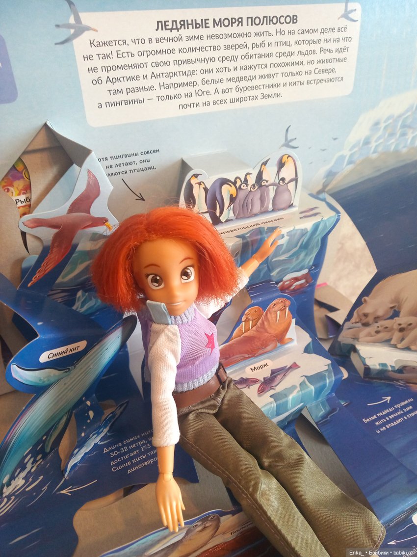 Приключения Робин в морском мире