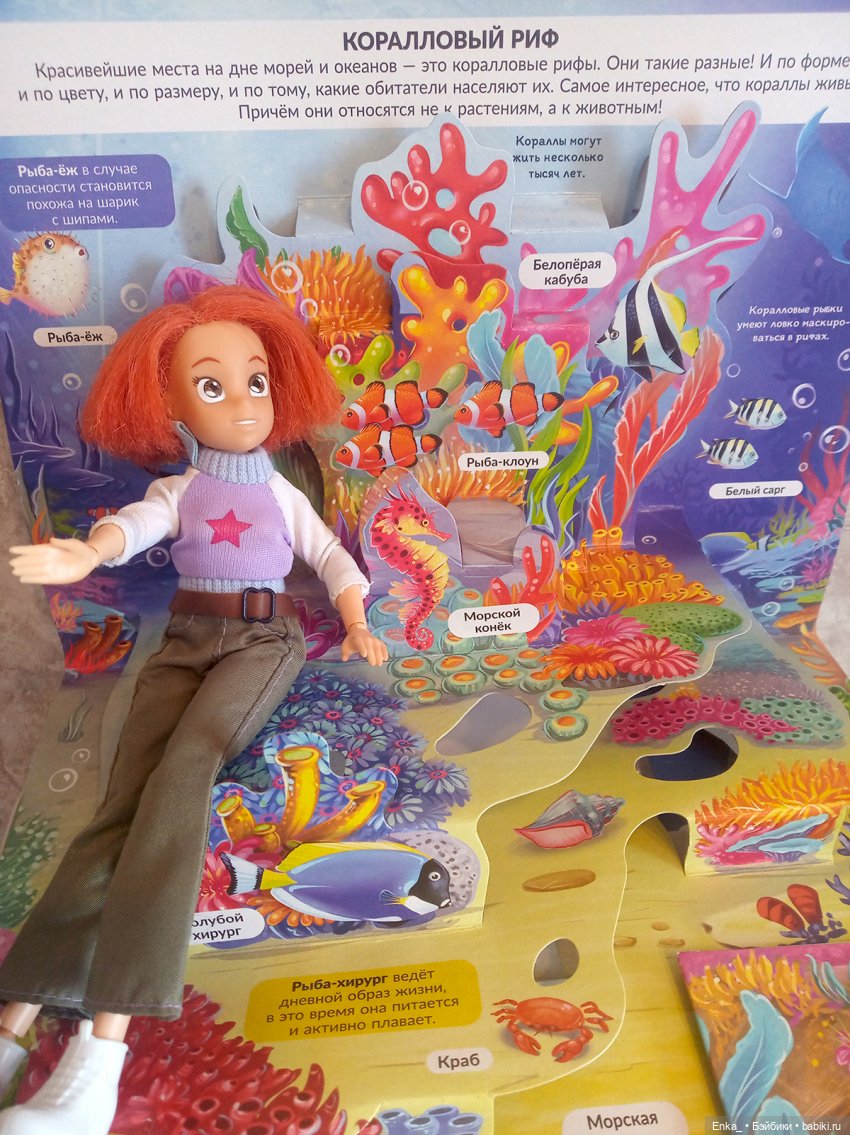 Приключения Робин в морском мире (фото 8)