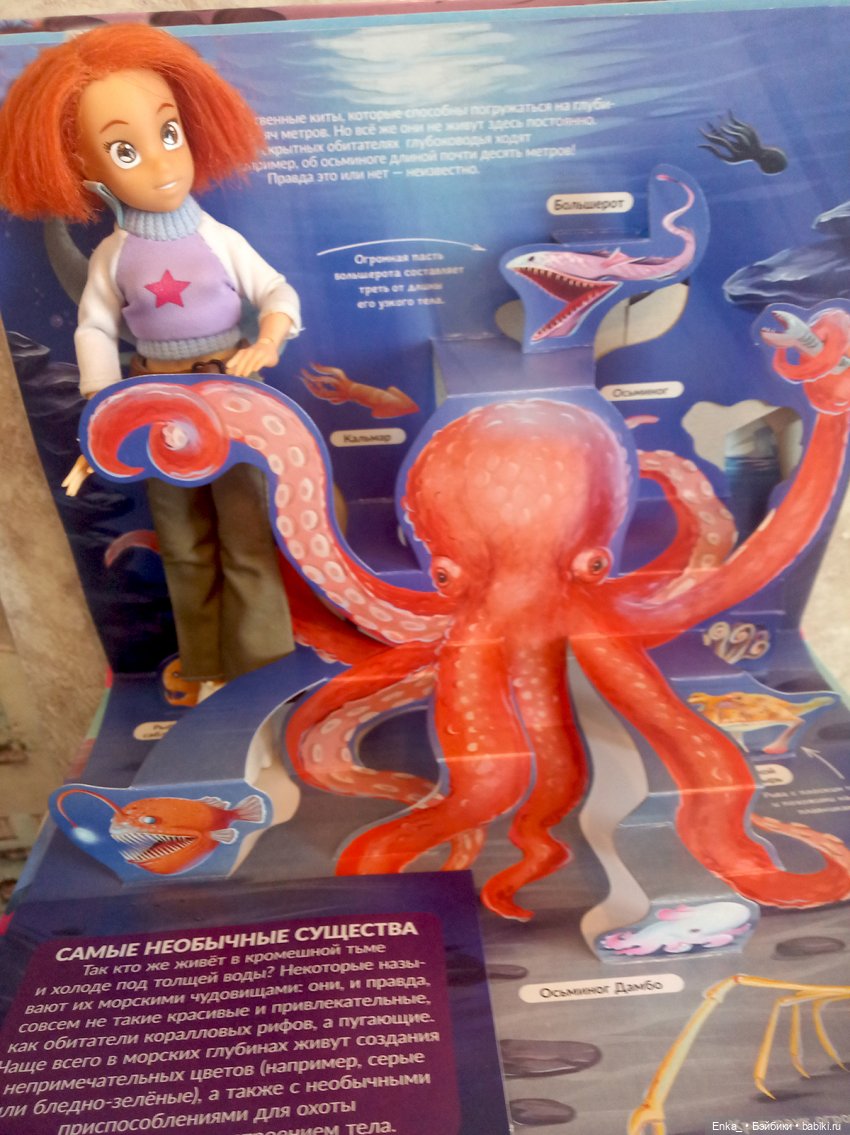 Приключения Робин в морском мире