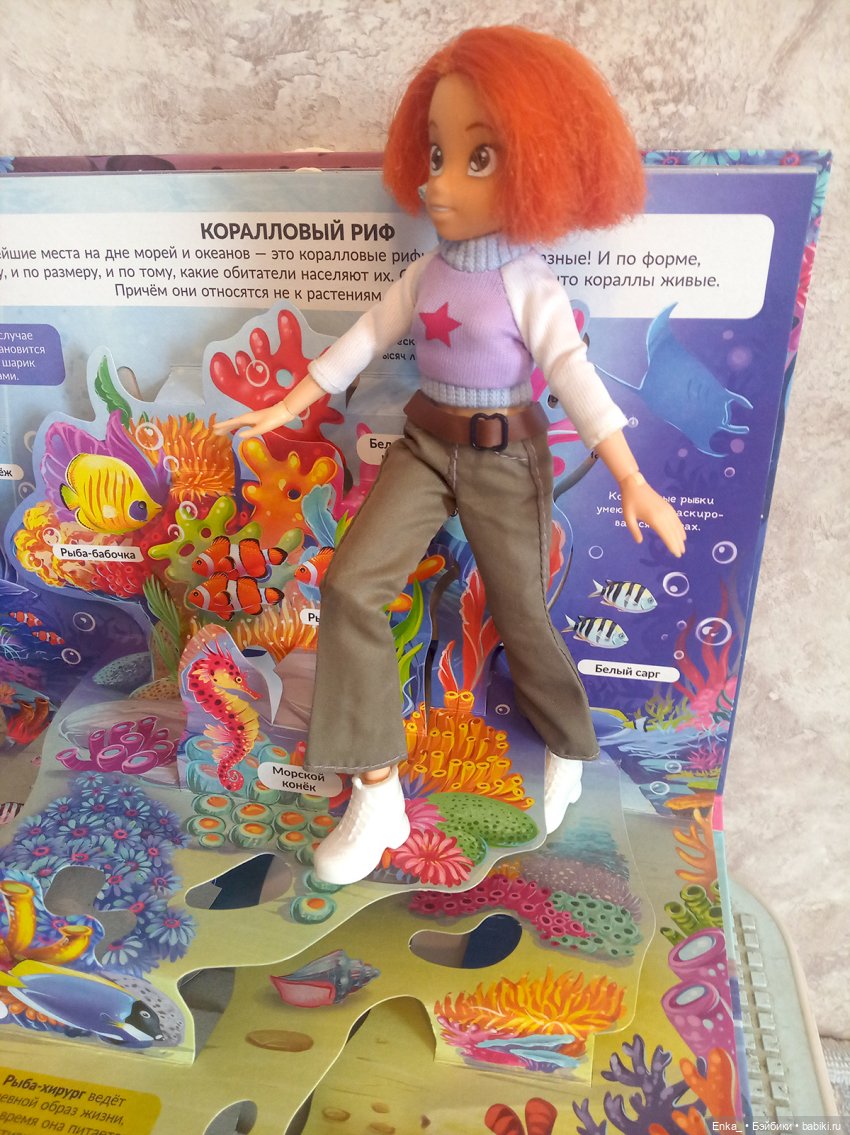 Приключения Робин в морском мире (фото 10)