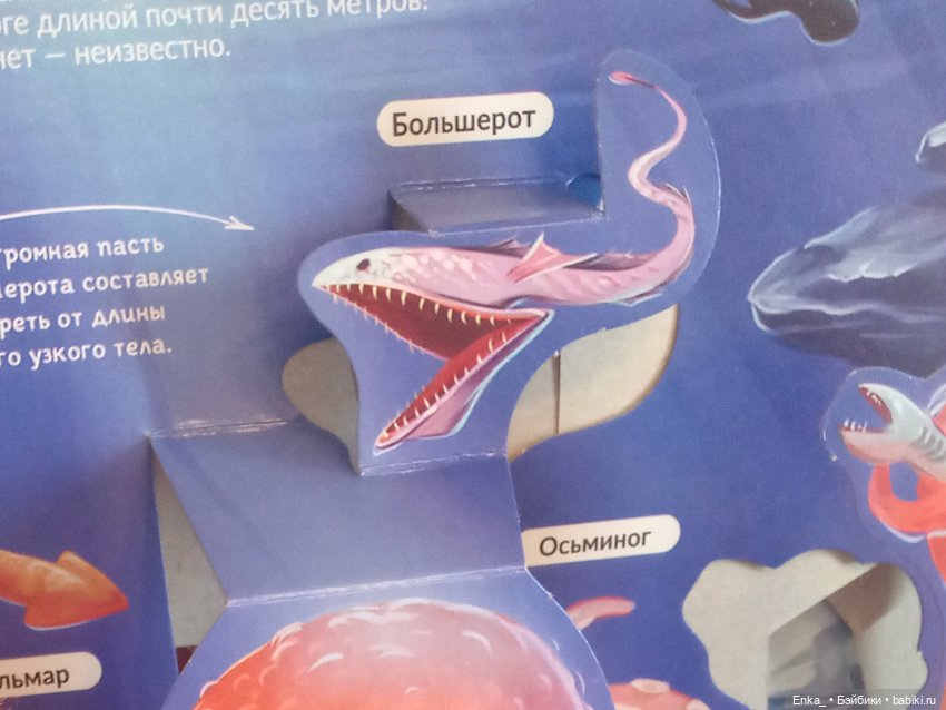 Приключения Робин в морском мире