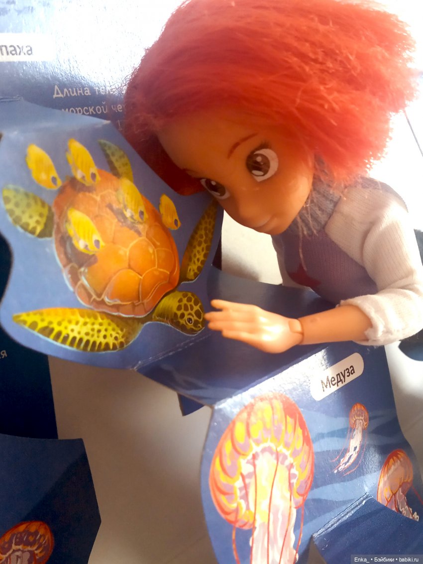 Приключения Робин в морском мире (фото 7)