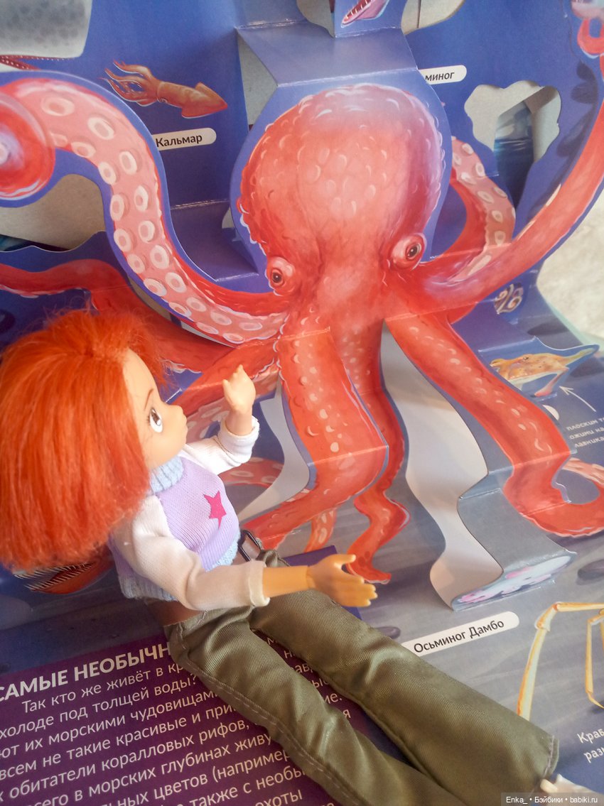 Приключения Робин в морском мире