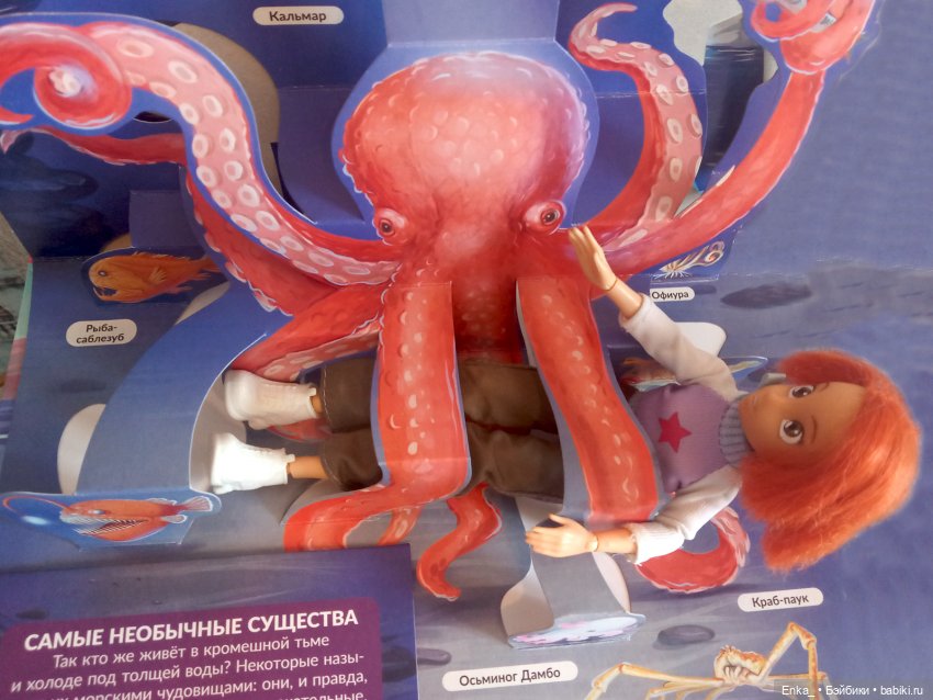 Приключения Робин в морском мире