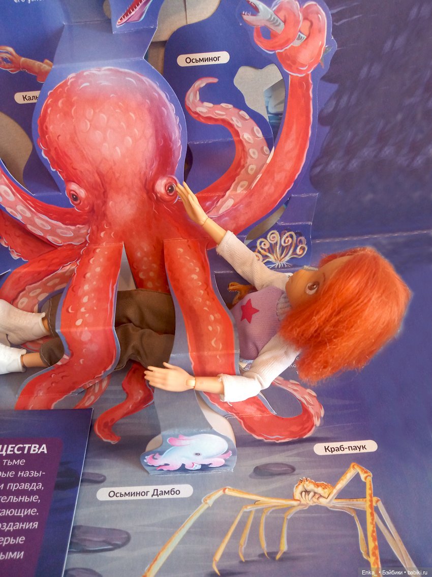 Приключения Робин в морском мире