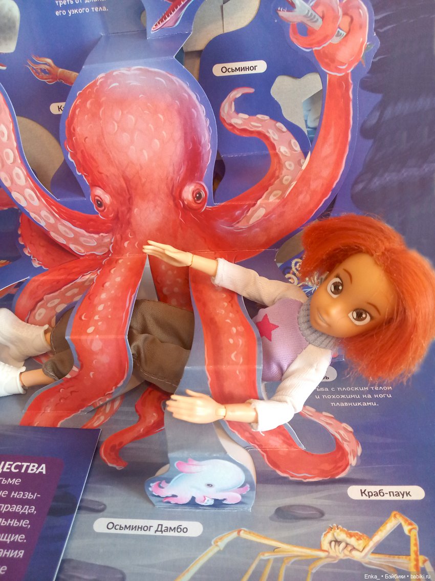 Приключения Робин в морском мире