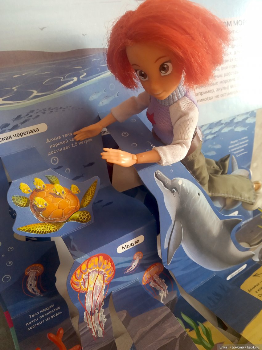 Приключения Робин в морском мире (фото 6)