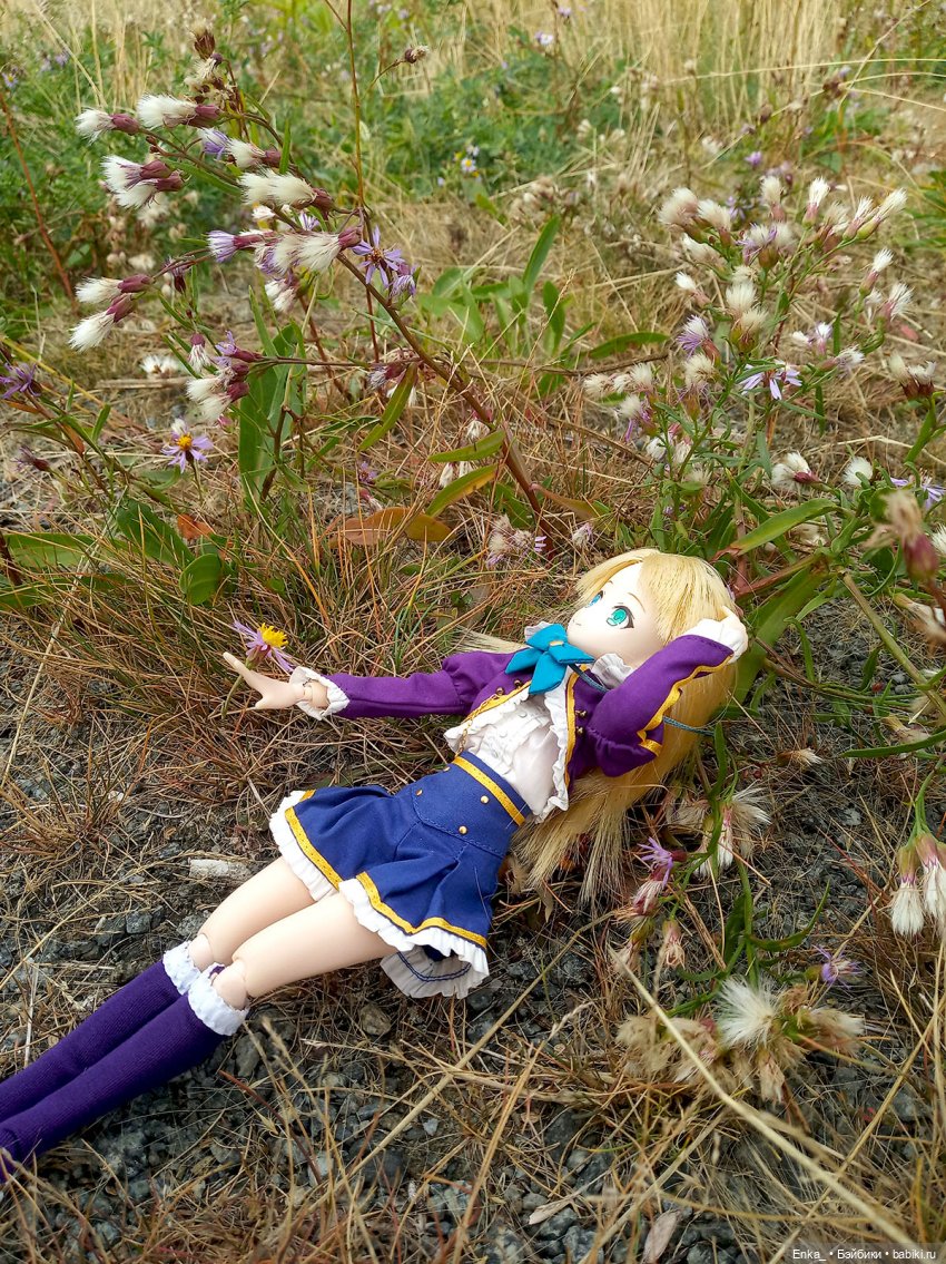 Принцесса Юмина на пикнике (фото 2)