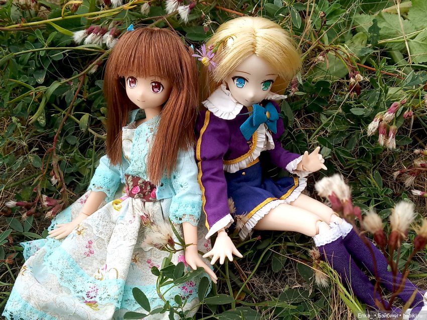 Принцесса Юмина на пикнике