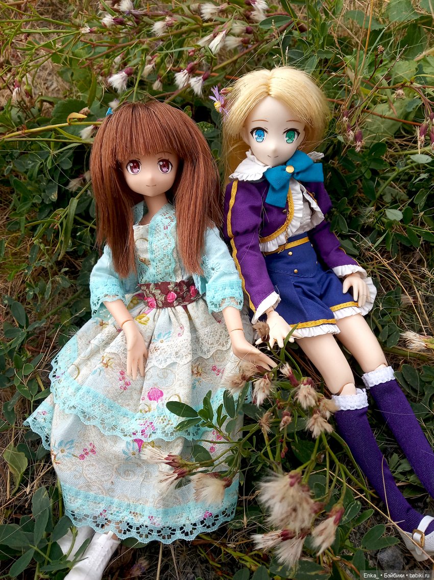 Принцесса Юмина на пикнике