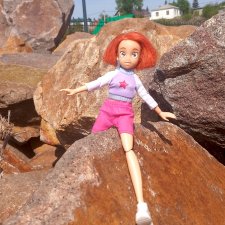 Робин на скалах