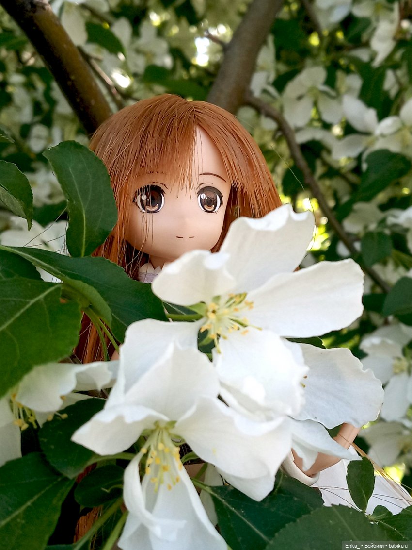 Воздушная Асуна в цветущих ветвях (фото 7)