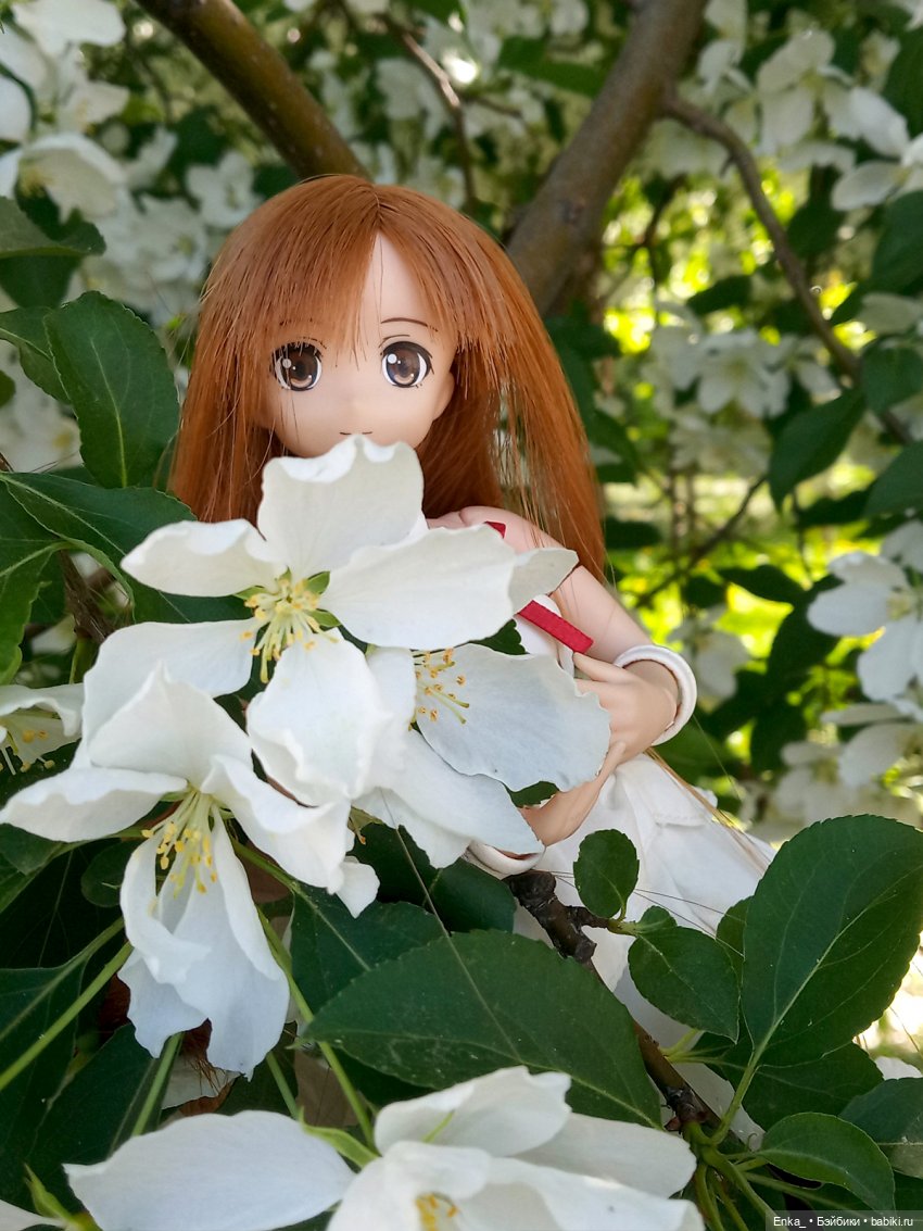 Воздушная Асуна в цветущих ветвях (фото 8)