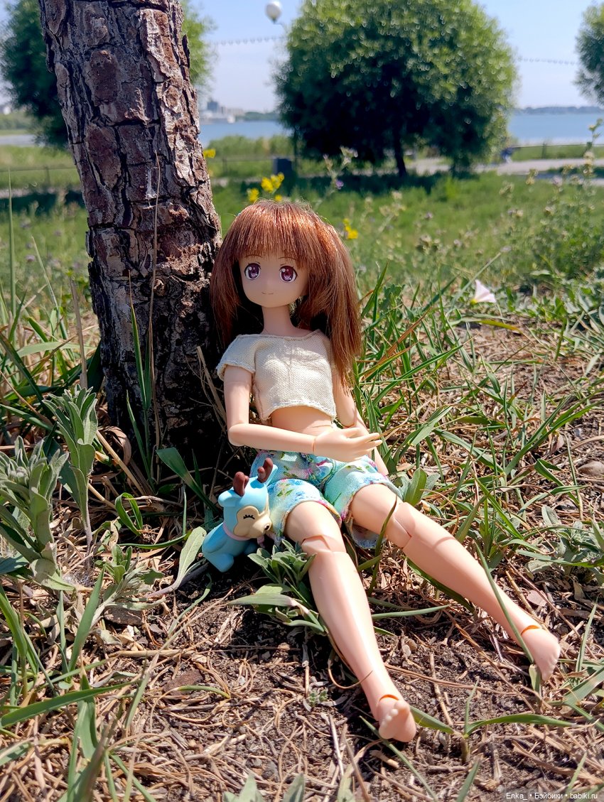 Летние прогулки с Миюки — Аниме куклы (MJD/Винил): Imomo