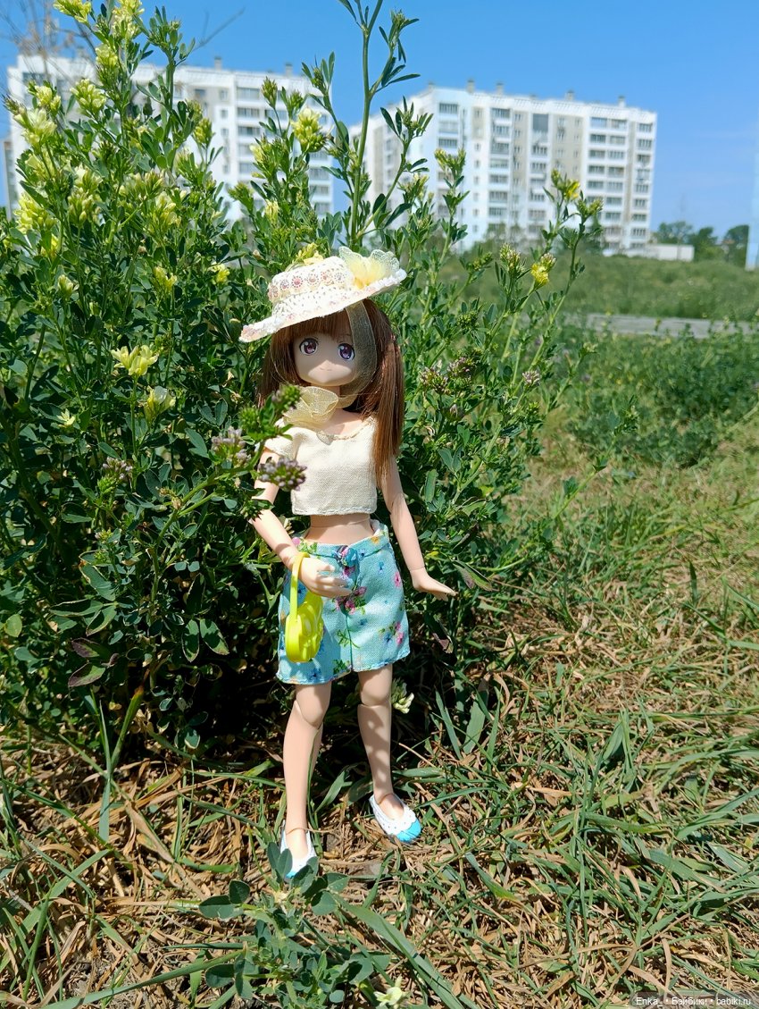 Летние прогулки с Миюки — Аниме куклы (MJD/Винил): Imomo (фото 2)