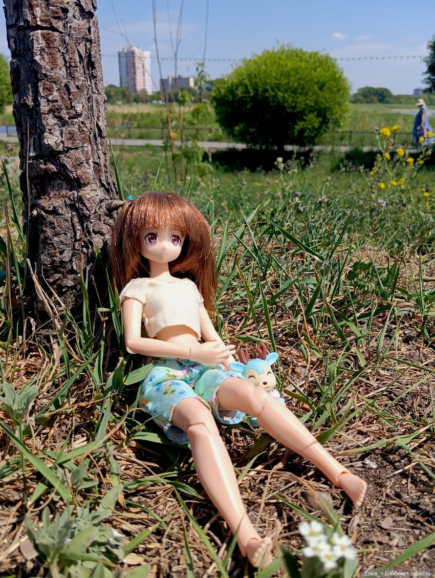 Летние прогулки с Миюки — Аниме куклы (MJD/Винил): Imomo