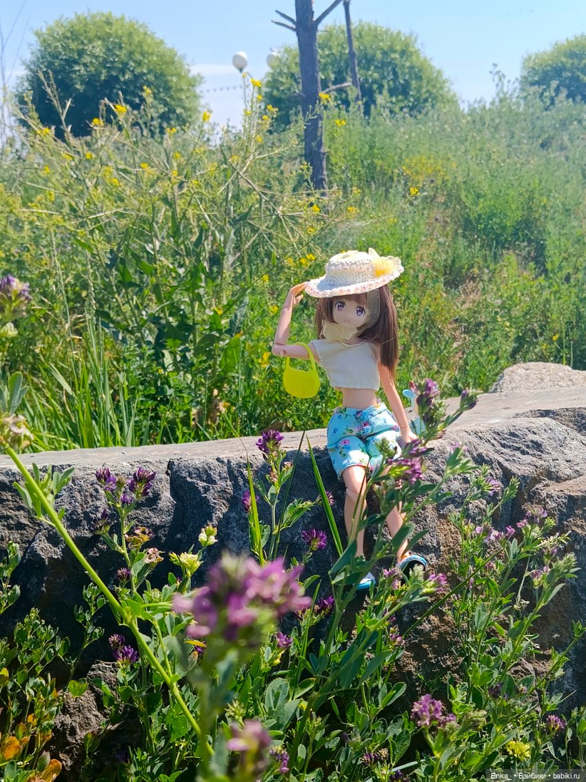 Летние прогулки с Миюки — Аниме куклы (MJD/Винил): Imomo (фото 5)