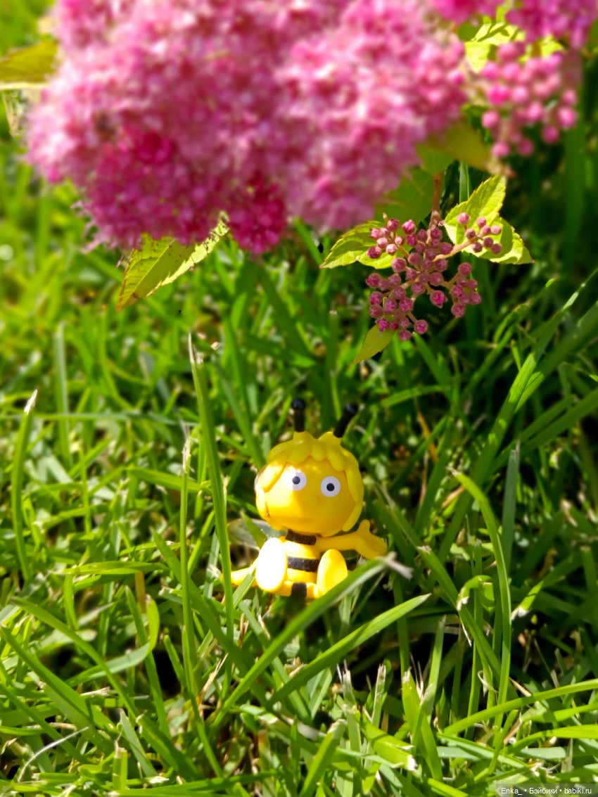 Робин и пчелка Майя — Гибриды шарнирных кукол (не БЖД): подбор тела