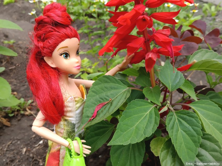 Вирджиния - фея травяного леса (фото 5)