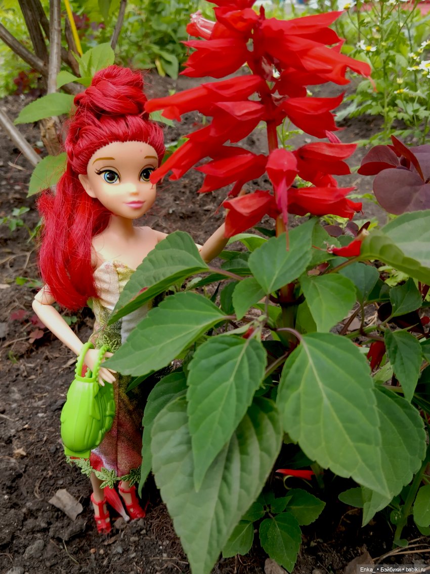 Вирджиния - фея травяного леса (фото 4)