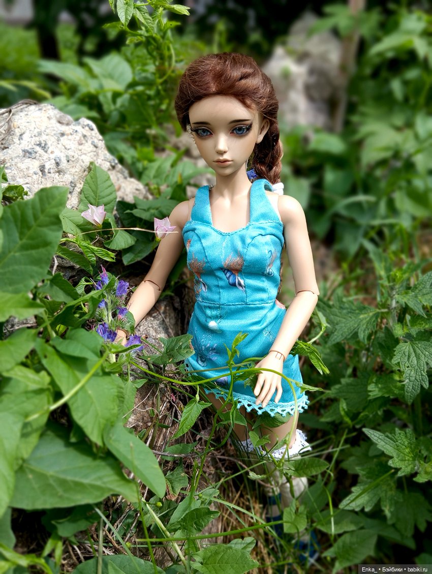 Корделия на цветущем лугу (фото 6)