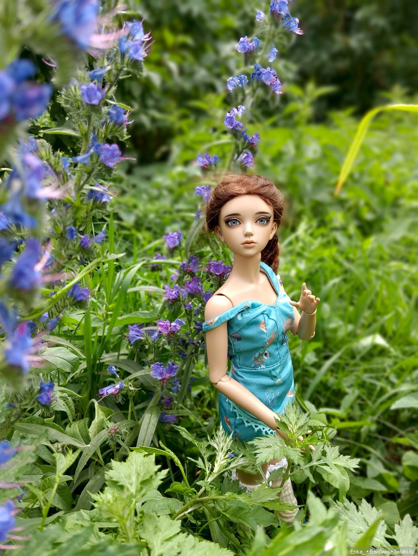 Корделия на цветущем лугу (фото 3)