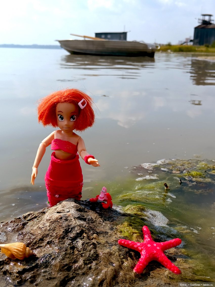 Робин. Как стать русалочкой (фото 3)