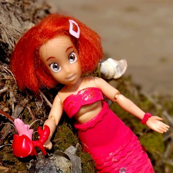 Робин. Как стать русалочкой