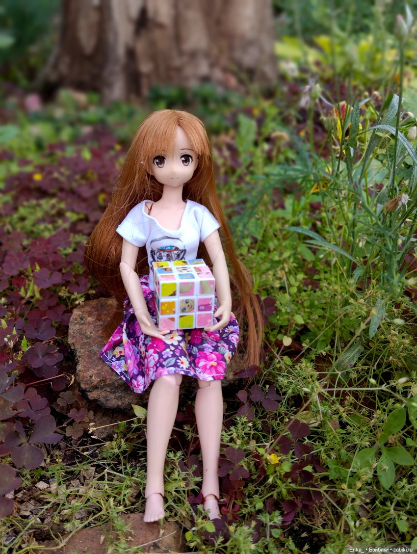 Асуна встречает Тотторо — Куклы Azone (Азон) и тела Pure Neemo: фото (фото 3)