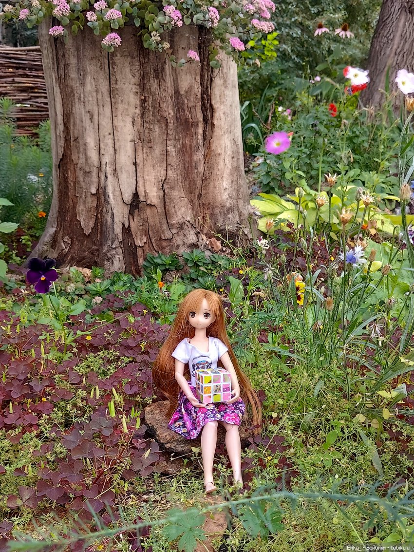 Асуна встречает Тотторо — Куклы Azone (Азон) и тела Pure Neemo: фото