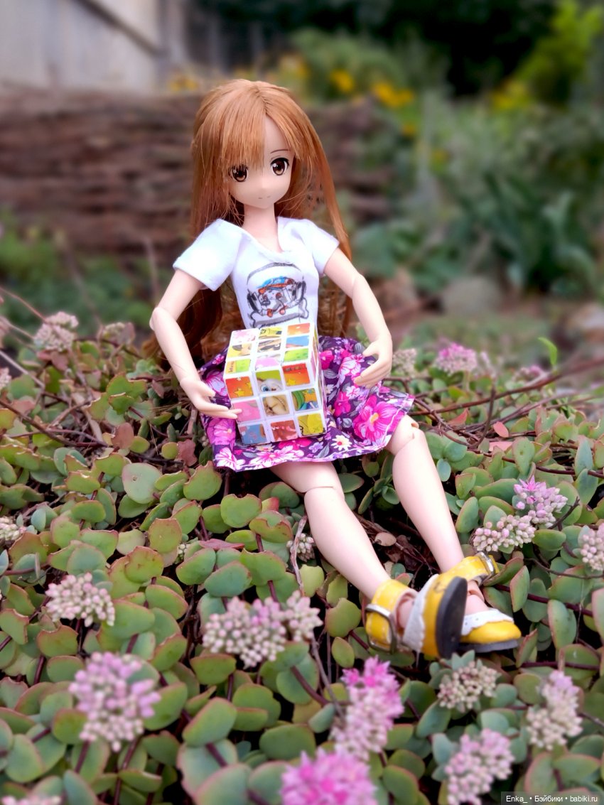 Асуна встречает Тотторо — Куклы Azone (Азон) и тела Pure Neemo: фото (фото 5)