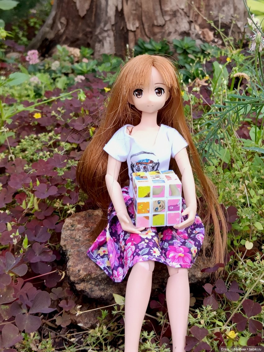 Асуна встречает Тотторо — Куклы Azone (Азон) и тела Pure Neemo: фото (фото 2)