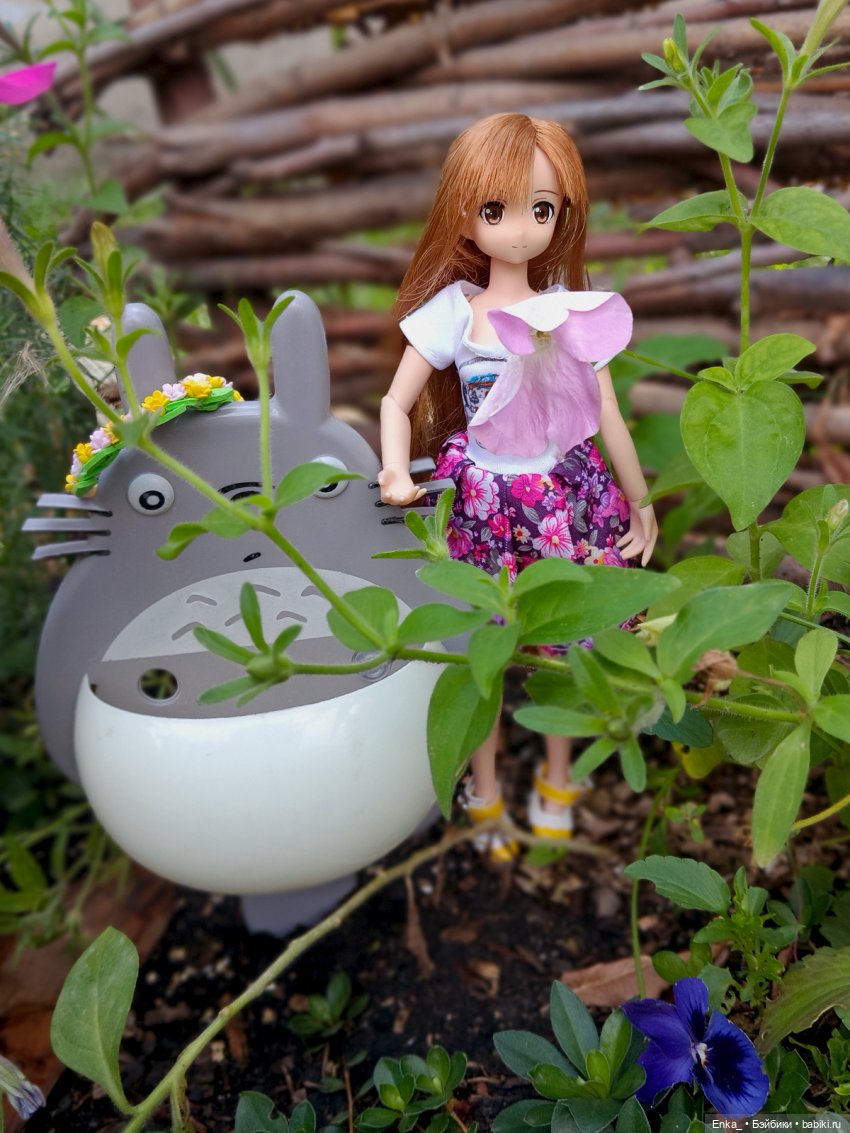 Асуна встречает Тотторо — Куклы Azone (Азон) и тела Pure Neemo: фото (фото 9)