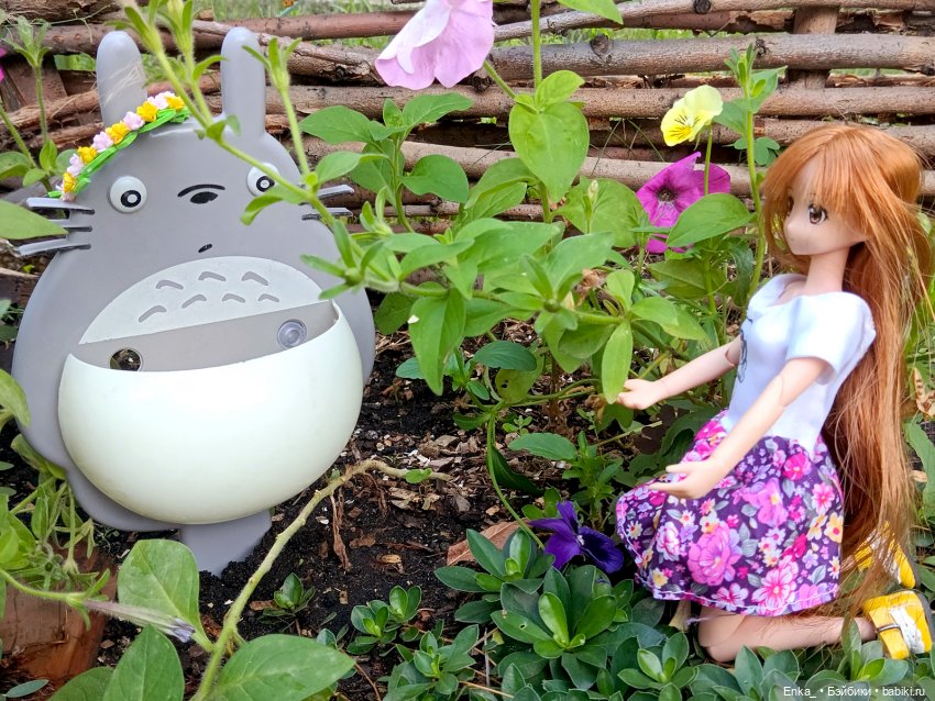 Асуна встречает Тотторо — Куклы Azone (Азон) и тела Pure Neemo: фото (фото 7)