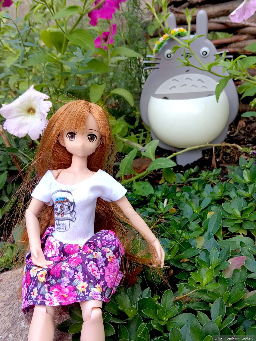 Асуна встречает Тотторо — Куклы Azone (Азон) и тела Pure Neemo: фото (фото 6)