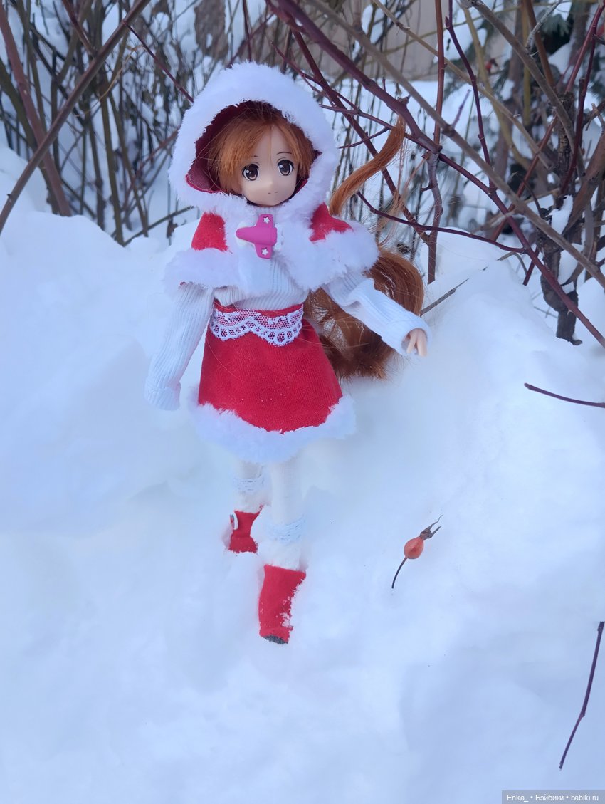 Асуна на зимней прогулке — Куклы Azone (Азон) и тела Pure Neemo: фото (фото 7)