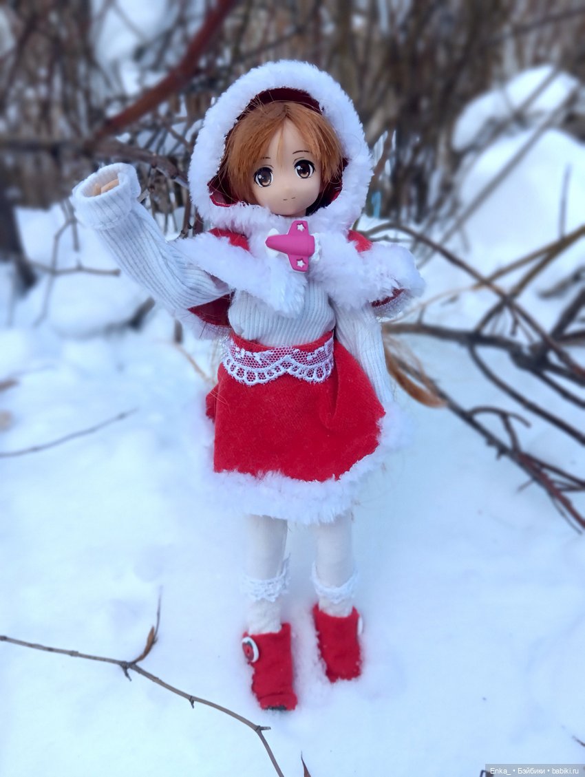Асуна на зимней прогулке — Куклы Azone (Азон) и тела Pure Neemo: фото (фото 2)
