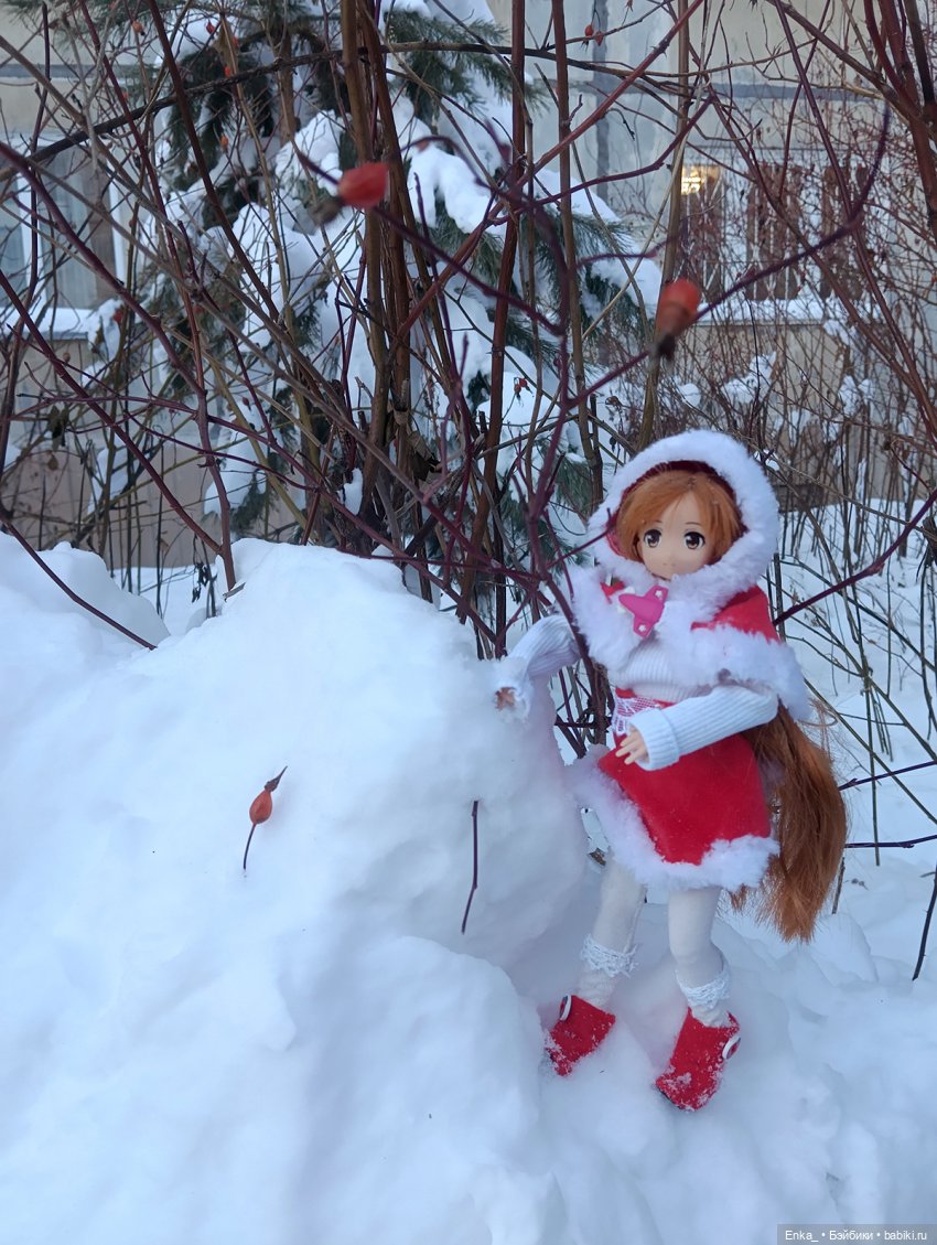 Асуна на зимней прогулке — Куклы Azone (Азон) и тела Pure Neemo: фото (фото 4)