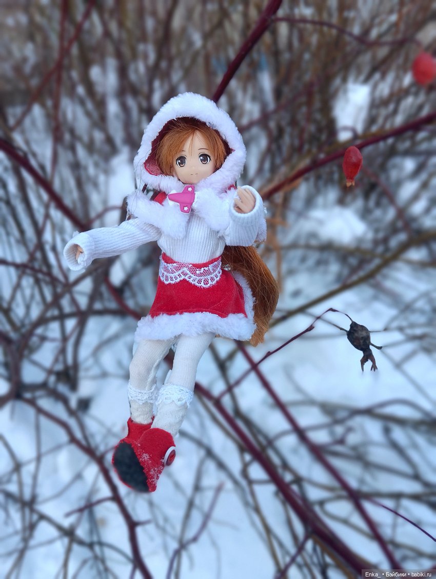 Асуна на зимней прогулке — Куклы Azone (Азон) и тела Pure Neemo: фото