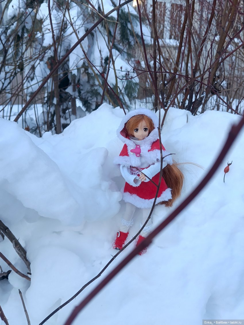 Асуна на зимней прогулке — Куклы Azone (Азон) и тела Pure Neemo: фото (фото 8)