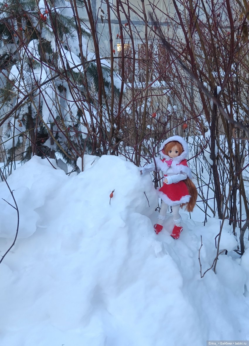Асуна на зимней прогулке — Куклы Azone (Азон) и тела Pure Neemo: фото (фото 3)