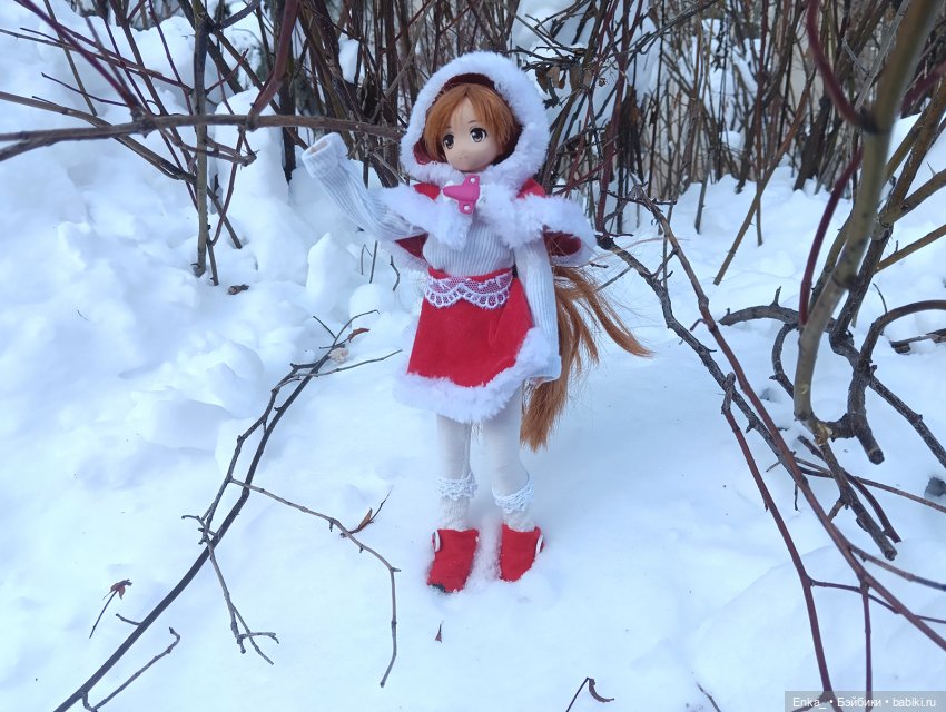 Асуна на зимней прогулке — Куклы Azone (Азон) и тела Pure Neemo: фото