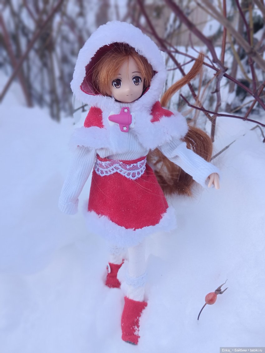 Асуна на зимней прогулке — Куклы Azone (Азон) и тела Pure Neemo: фото