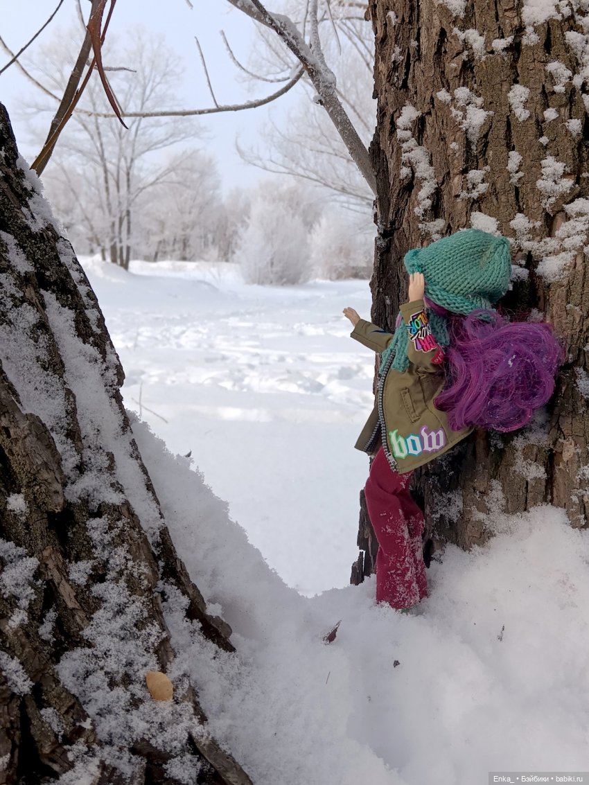 Зимняя прогулка с Клементиной (фото 5)