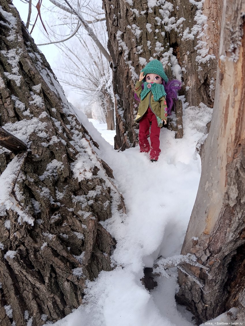 Зимняя прогулка с Клементиной (фото 6)