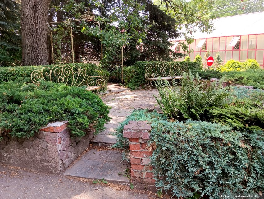 Робин в Ботаническом саду Уфы (фото 5)